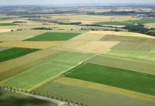 ANR: Spadły ceny gruntów rolnych