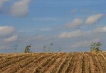 Czy inne kraje UE też chronią ziemię rolną?