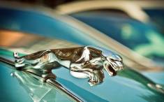 Grupa Marvipol kupiła działkę - postawi na niej salon Jaguar Land Rover