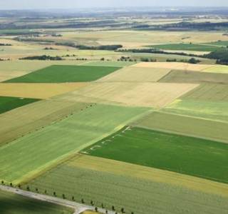 ANR: Spadły ceny gruntów rolnych