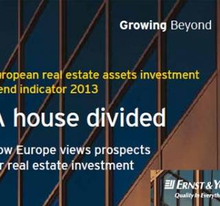 Ernst&Young Report: A house divided