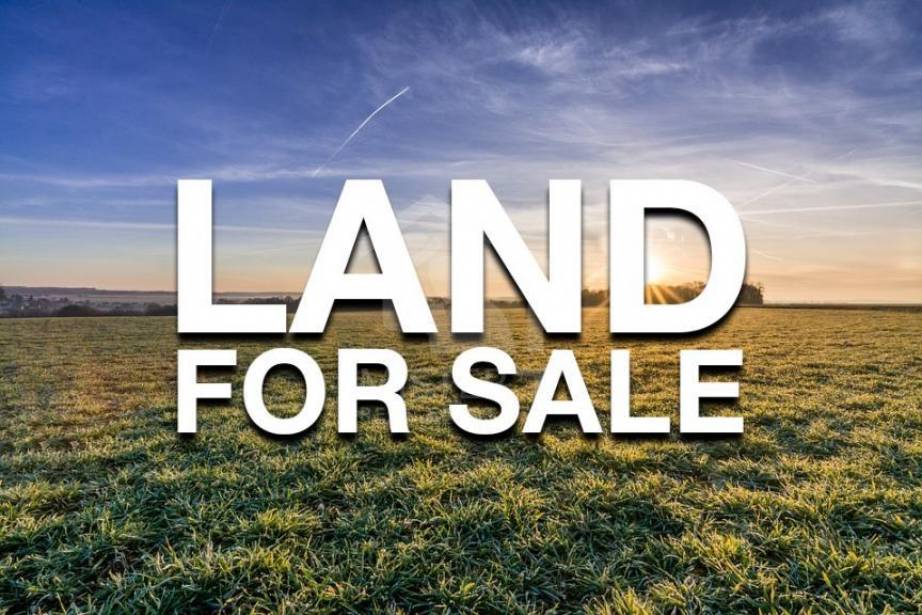land for sale.jpeg